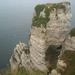 DSCN0868