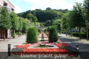 bloemenpracht in gulpen