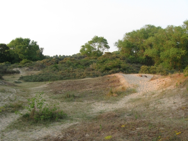 Nieuwpoort Vakantie ZZ 2010 Ter duinen 017