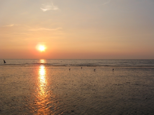 Nieuwpoort Vakantie ZZ 2010 Ter duinen 025