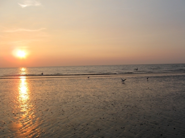 Nieuwpoort Vakantie ZZ 2010 Ter duinen 026