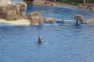 Seaworld