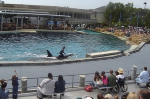 Seaworld