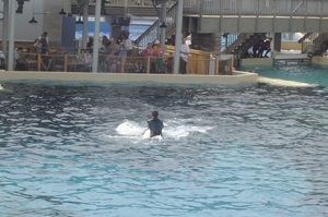 Seaworld