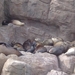 Seaworld