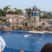 Seaworld