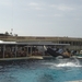 Seaworld San Diego