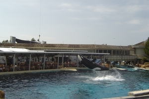 Seaworld San Diego