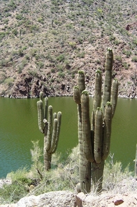 Apache trail