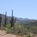 Apache trail