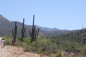 Apache trail