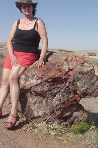 Petrified Forest