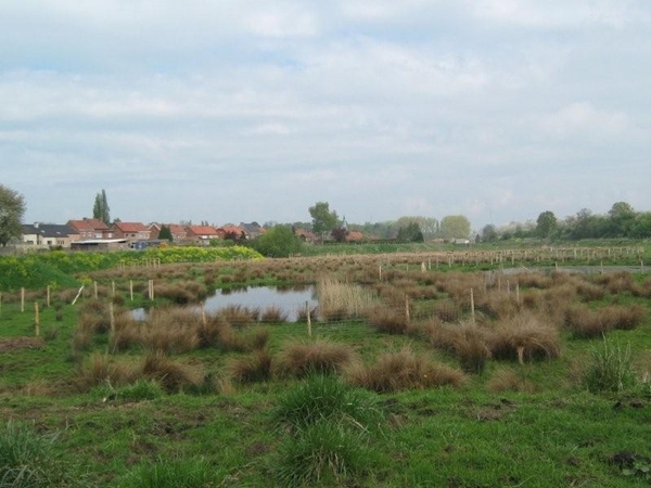 Fietsen Westuit Sint-Truiden 2009 051