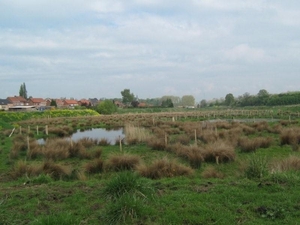 Fietsen Westuit Sint-Truiden 2009 052