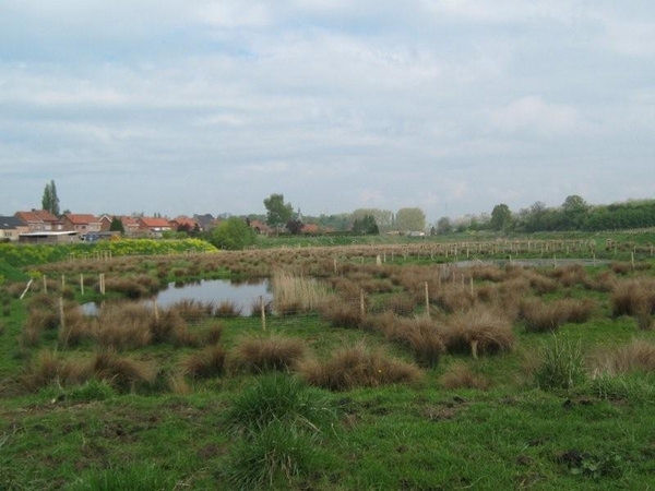 Fietsen Westuit Sint-Truiden 2009 052