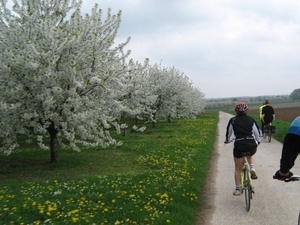 Fietsen Westuit Sint-Truiden 2009 067