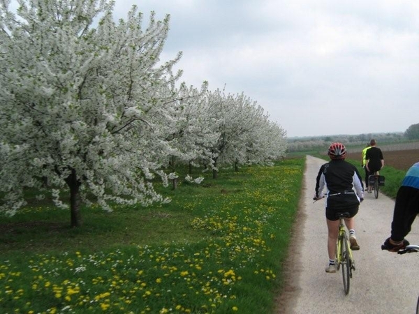 Fietsen Westuit Sint-Truiden 2009 067