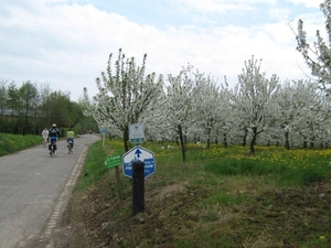 Fietsen Westuit Sint-Truiden 2009 099