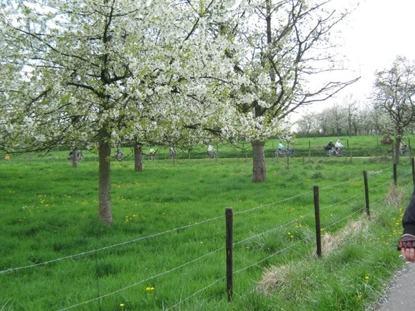 Fietsen Westuit Sint-Truiden 2009 167