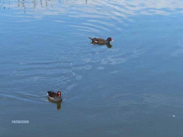 Middelkerke babbelbox 039