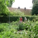 Tuinreis 2010-108