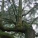 Tuinreis 2010-114