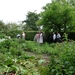 Tuinreis 2010-115