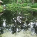 Tuinreis 2010-117