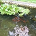 Tuinreis 2010-120