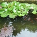 Tuinreis 2010-121