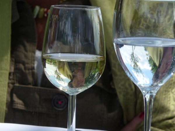 Tuinreis 2010-174