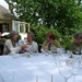 Tuinreis 2010-179