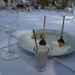 Tuinreis 2010-180