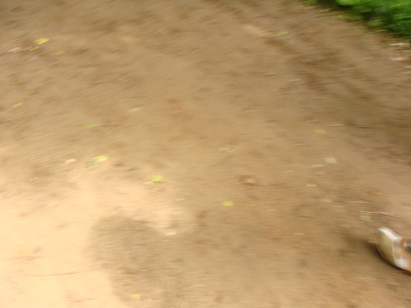 DSC02422
