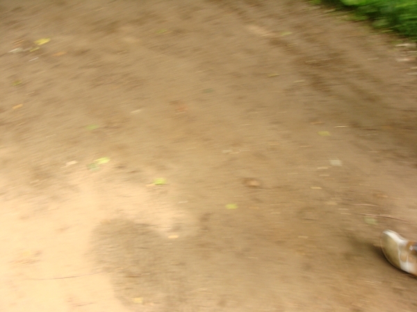 DSC02422