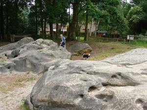 DSC02446