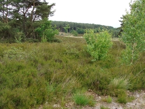 DSC02457