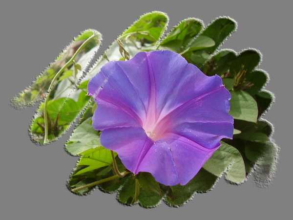 P6030070