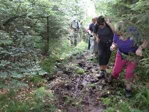 Montenau008 (Medium)