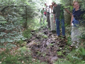 Montenau011 (Medium)