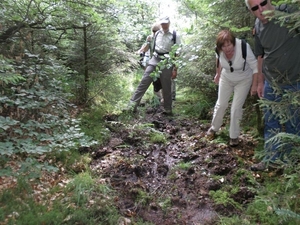 Montenau012 (Medium)