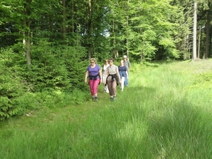 Montenau029 (Medium)