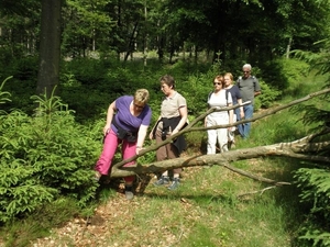 Montenau030 (Medium)