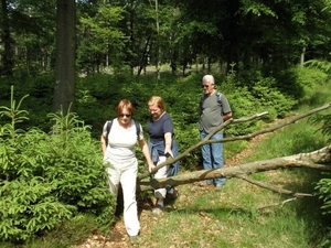 Montenau031 (Medium)