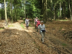 Montenau032 (Medium)