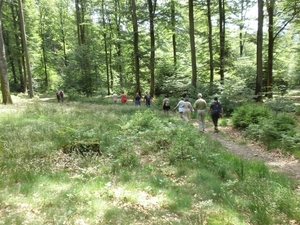 Montenau033 (Medium)