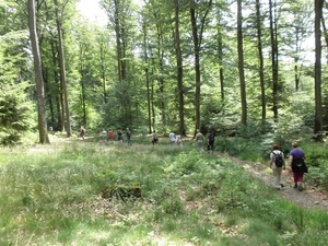 Montenau034 (Medium)