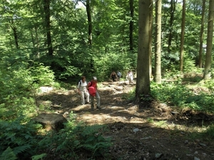 Montenau053 (Medium)