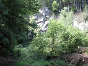 Montenau054 (Medium)
