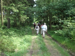 Montenau055 (Medium)